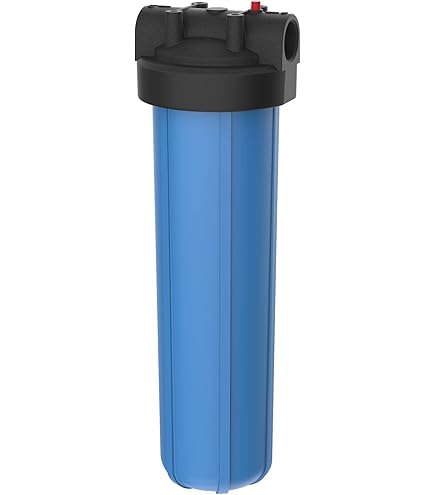 Pentek 166219.0 W/Pr Housing Number-10 Big Clear Filter, 1